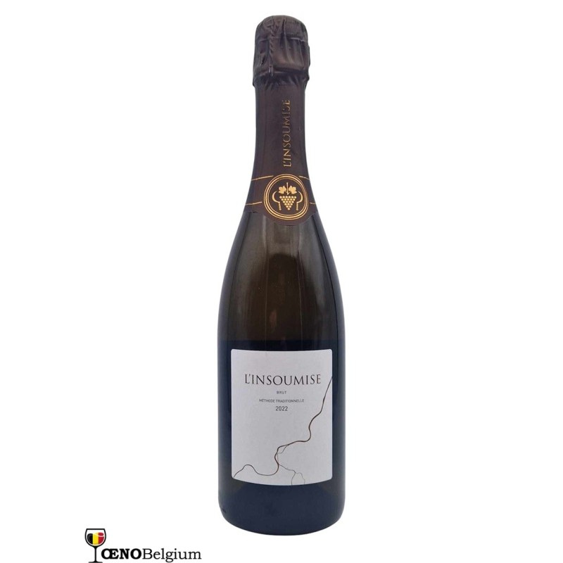 L'Insoumise Brut 2022